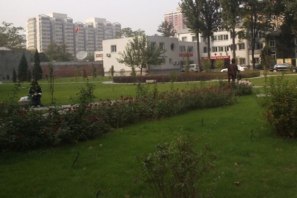 烟台唯一985高校是哪所