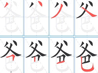 爸爸的笔顺笔画顺序