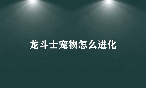 龙斗士宠物怎么进化