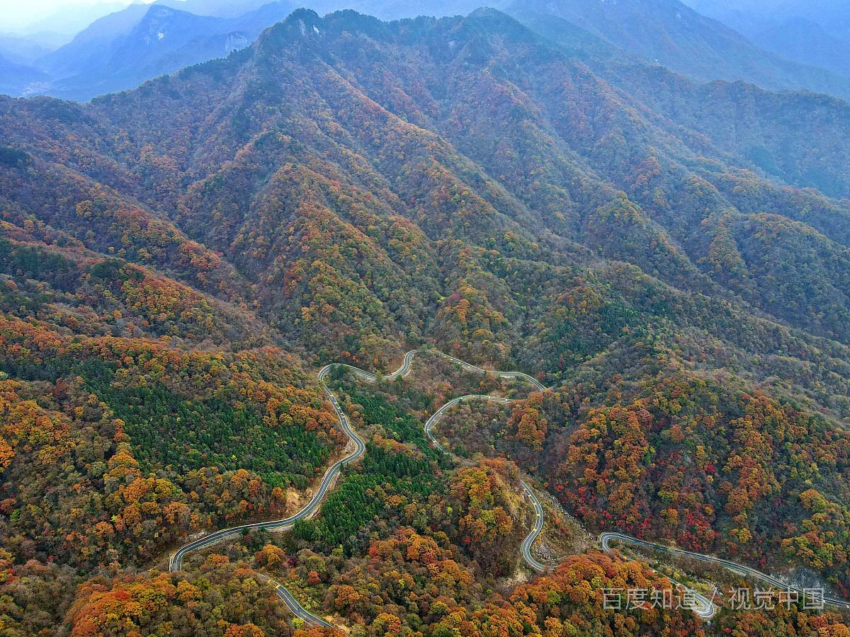 有什么高质量的好看的美国电影推荐？