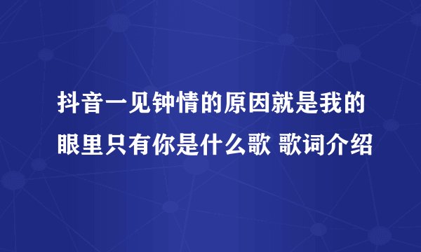 抖音一见钟情的原因就是我的眼里只有你是什么歌 歌词介绍