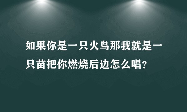 如果你是一只火鸟那我就是一只苗把你燃烧后边怎么唱？