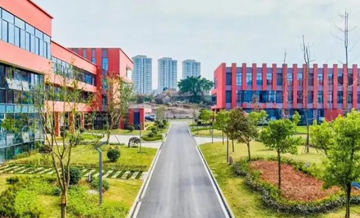 四川有哪些专科院校