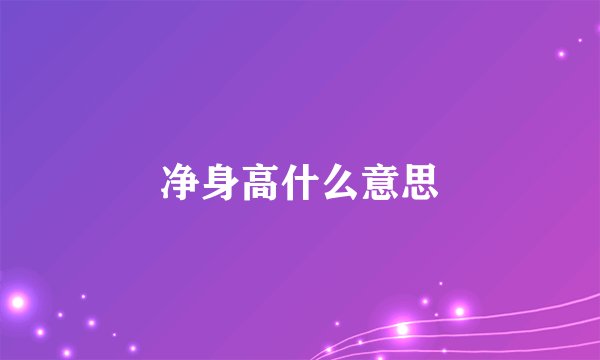 净身高什么意思