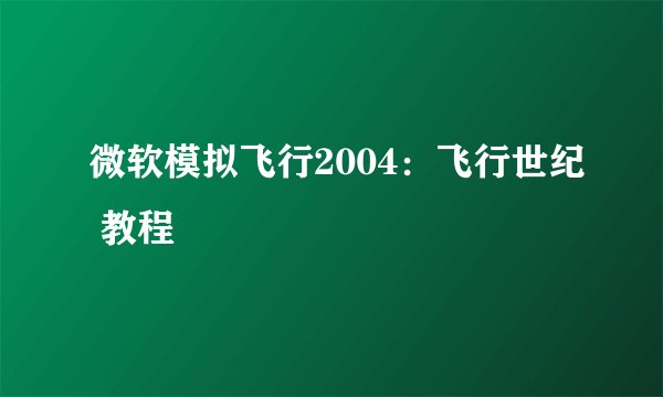 微软模拟飞行2004：飞行世纪 教程