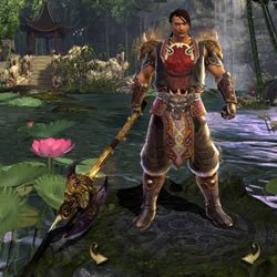 流星蝴蝶剑online的职业介绍