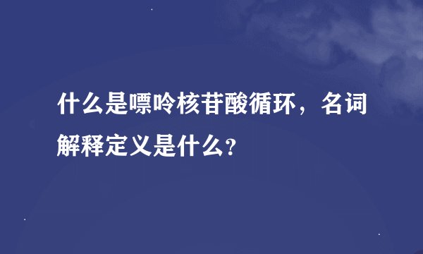 什么是嘌呤核苷酸循环，名词解释定义是什么？