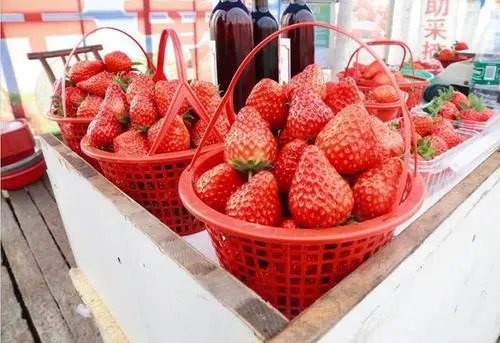 草莓上市，部分品种近200元一斤，你是否会选择购买呢？