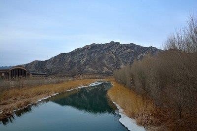 喀左教育局电话多少