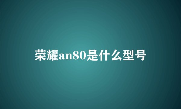 荣耀an80是什么型号
