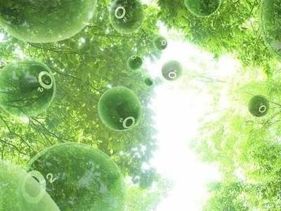 无毒气体有哪些？