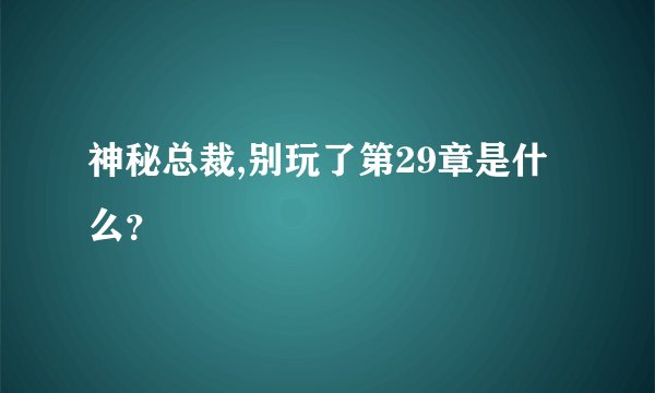 神秘总裁,别玩了第29章是什么？