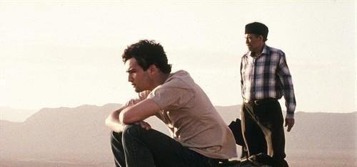 老爸的朝圣之旅的介绍