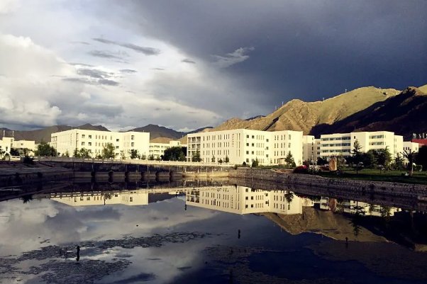 211分数线及排名