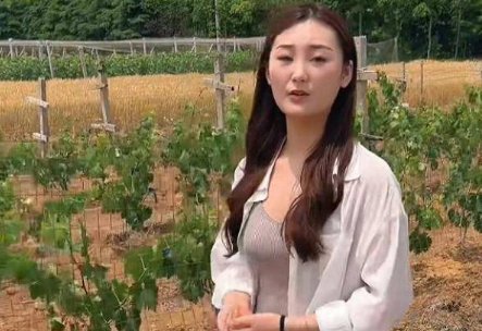 陈亚南是谁，朱之文什么时候出轨的