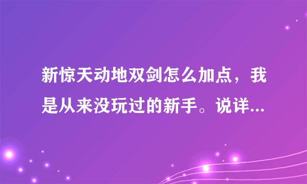 新惊天动地双剑怎么加点，我是从来没玩过的新手。说详细些刷FB怎么加，PK又怎么加？