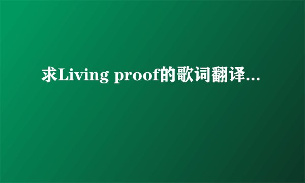 求Living proof的歌词翻译...