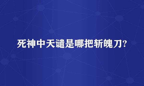 死神中天谴是哪把斩魄刀?