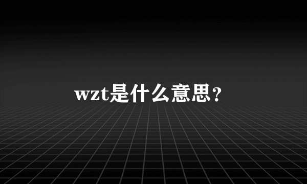 wzt是什么意思？