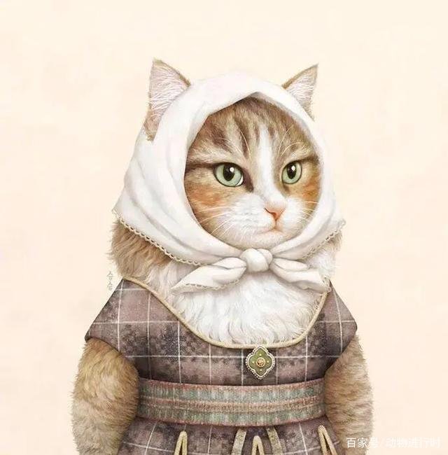 在猫咪面前学喵叫，它到底能不能听懂？