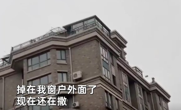 上海一小区女业主楼顶狂撒百元钞票，此事的调查结果如何？