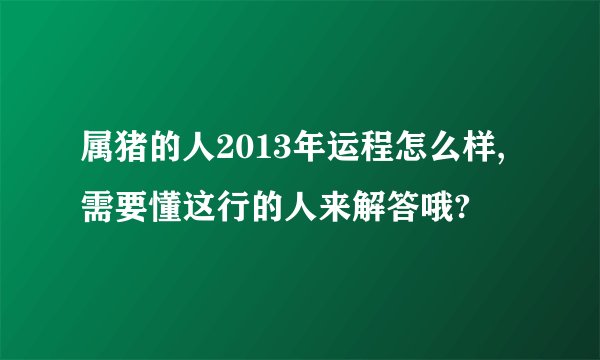 属猪的人2013年运程怎么样,需要懂这行的人来解答哦?