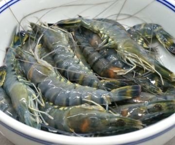 黑虎虾怎么做好吃啊？