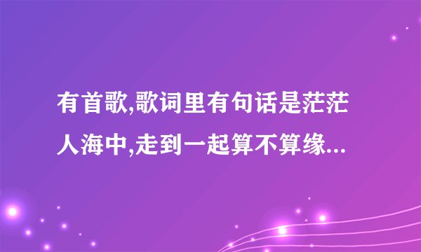 有首歌,歌词里有句话是茫茫人海中,走到一起算不算缘份,请问歌名是?