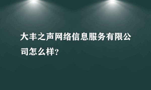 大丰之声网络信息服务有限公司怎么样？