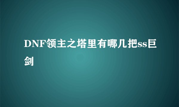 DNF领主之塔里有哪几把ss巨剑