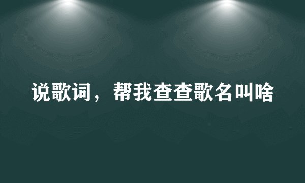 说歌词，帮我查查歌名叫啥