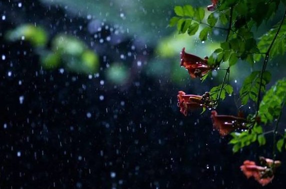 一任阶前,点滴到天明是什么意思