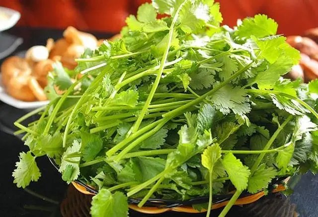 香菜和柠檬相比，哪个的维生素含量比较高？