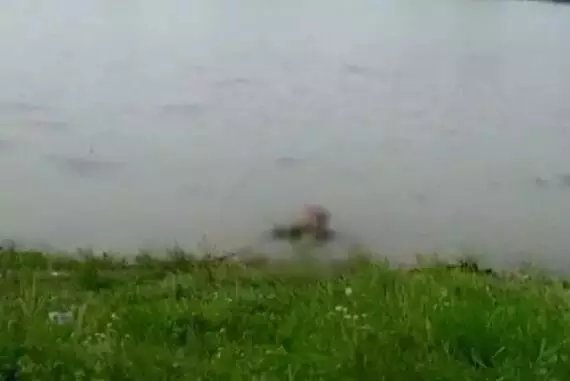 女子与儿女合谋将丈夫杀害抛尸，其中有何揪心的隐情？