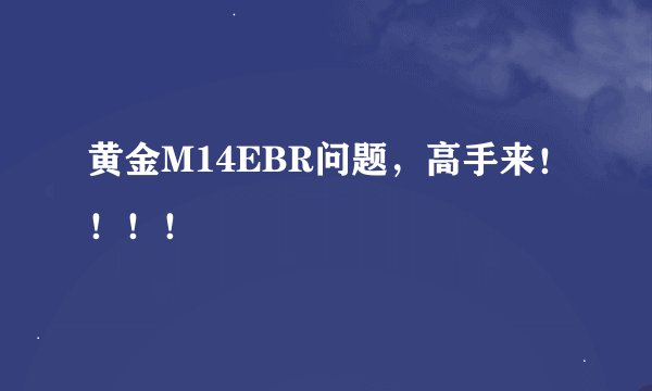 黄金M14EBR问题，高手来！！！！