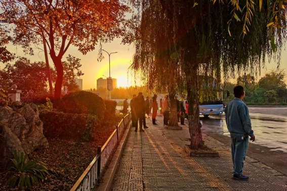 未旦晨醒什么意思