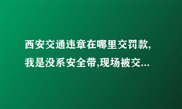 西安交通违章在哪里交罚款,我是没系安全带,现场被交警开的罚单,罚款50元扣1分,去哪里交罚款啊?