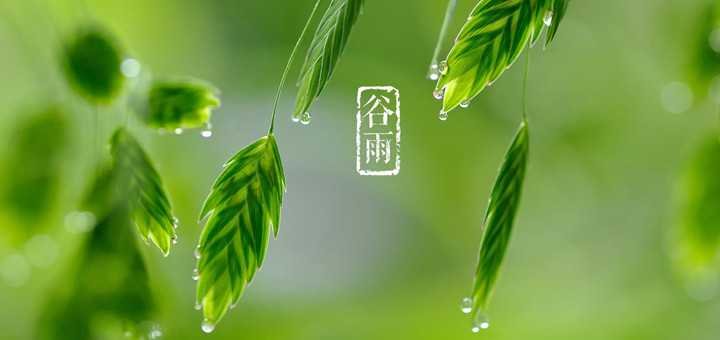 谷雨节气这天一定会下雨吗