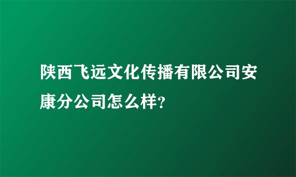 陕西飞远文化传播有限公司安康分公司怎么样？