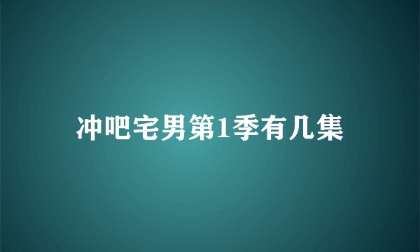 冲吧宅男第1季有几集