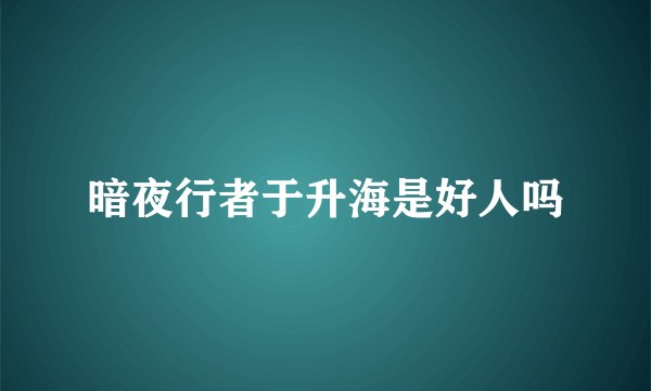 暗夜行者于升海是好人吗