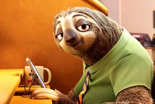 慢速的英语怎么说