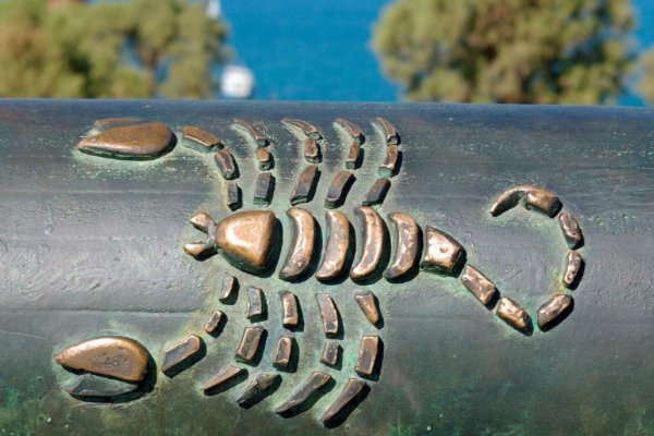 11月6日是什么星座的