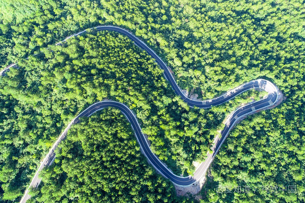 有什么高质量的好看的美国电影推荐？