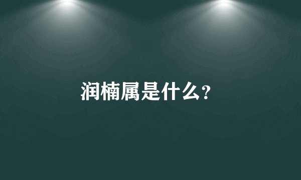 润楠属是什么？