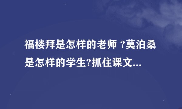 福楼拜是怎样的老师 ?莫泊桑是怎样的学生?抓住课文的关键词句谈一谈 莫泊桑是个怎样的学生