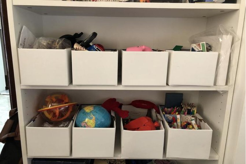 条理是什么意思