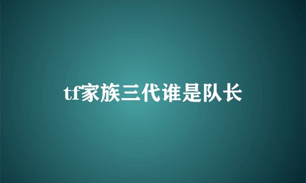 tf家族三代谁是队长