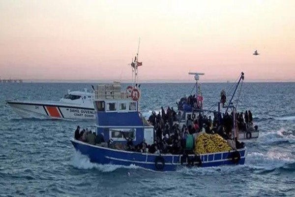 人蛇是什么意思?