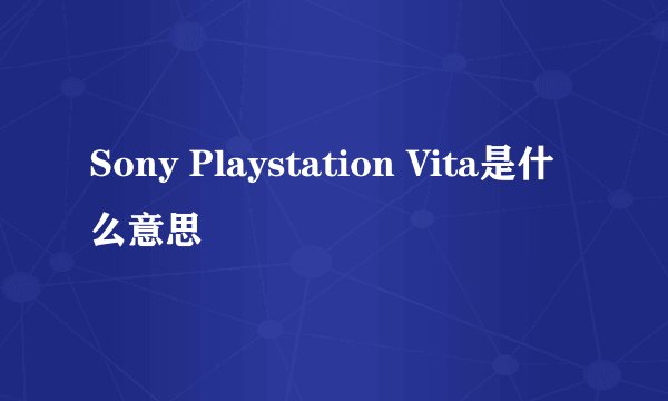 Sony Playstation Vita是什么意思